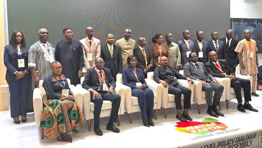 W-African Tax leaders and experts