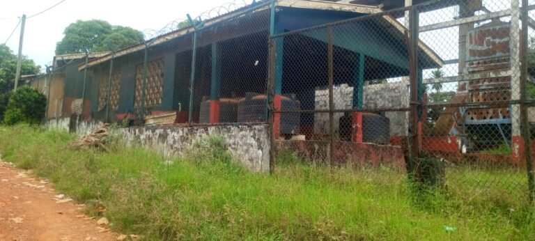 IMG_20260235_084206989