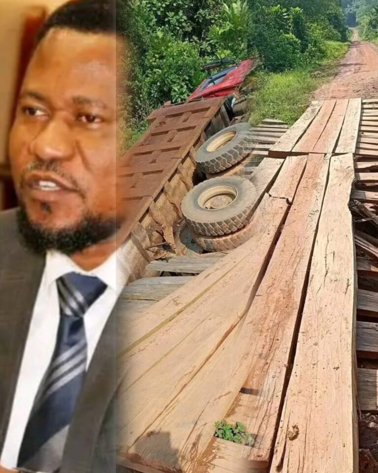 InShot_20260308_182509583