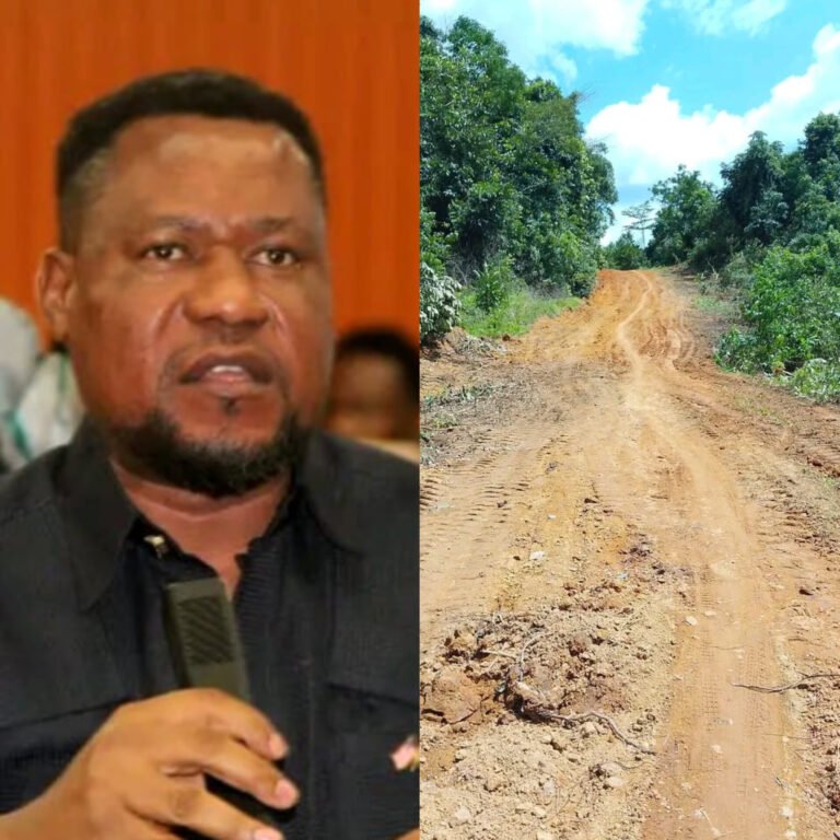 InShot_20260314_204518598